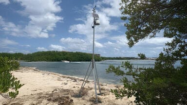 Continuous air monitoring technology provides a solution to the health and environmental impact of sargassum